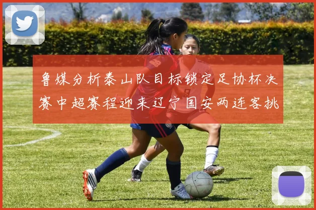 鲁媒分析泰山队目标锁定足协杯决赛中超赛程迎来辽宁国安两连客挑战
