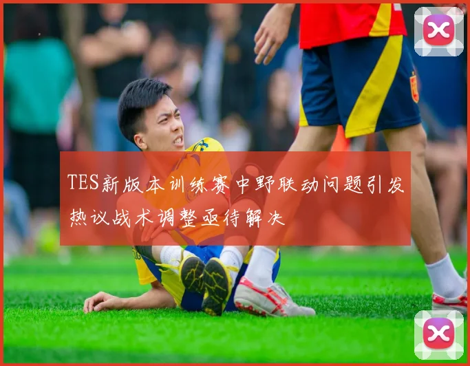TES新版本训练赛中野联动问题引发热议战术调整亟待解决